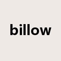 billow是什么意思
