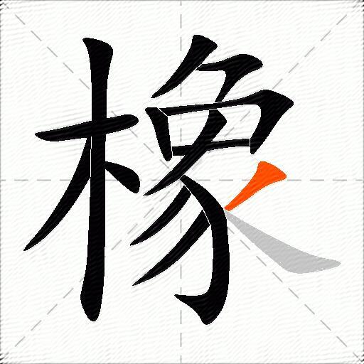 橡