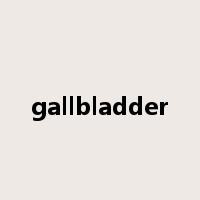 gallbladder是什么意思
