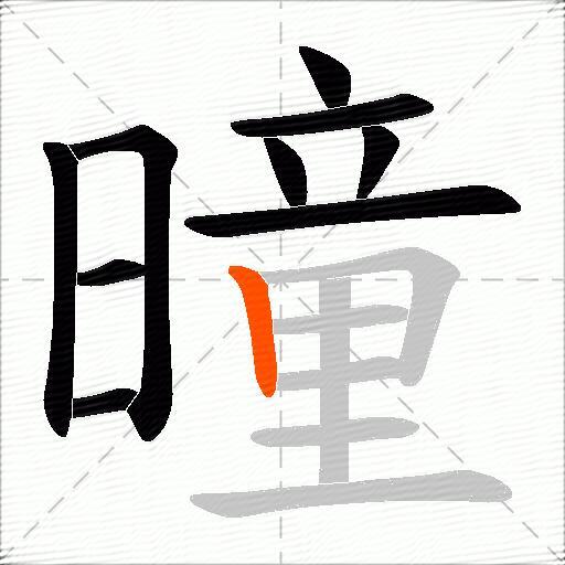 曈