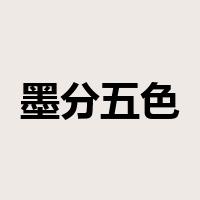 墨分五色是什么意思