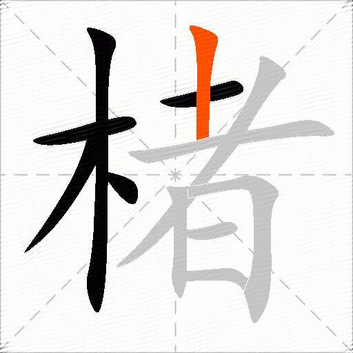 楮