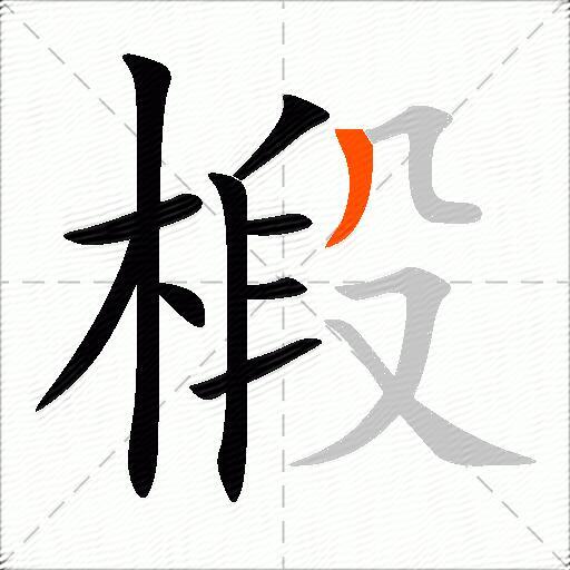 椴