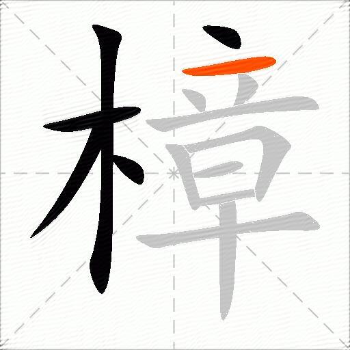 樟