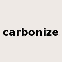 carbonize是什么意思