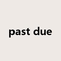 past due是什么意思