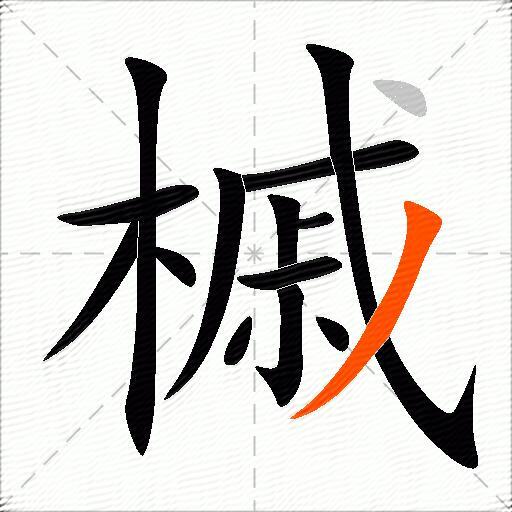 槭