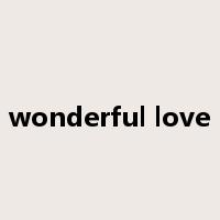 wonderful love是什么意思