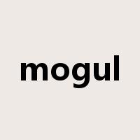 mogul是什么意思