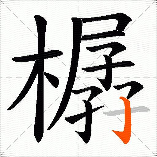 樼