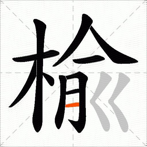 楡