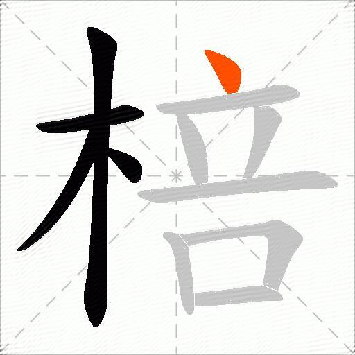 棓
