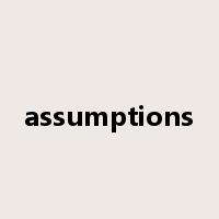 assumptions是什么意思