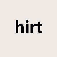 hirt是什么意思
