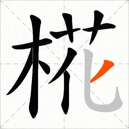 椛