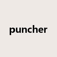 puncher是什么意思