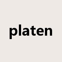 platen是什么意思