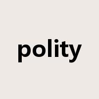 polity是什么意思