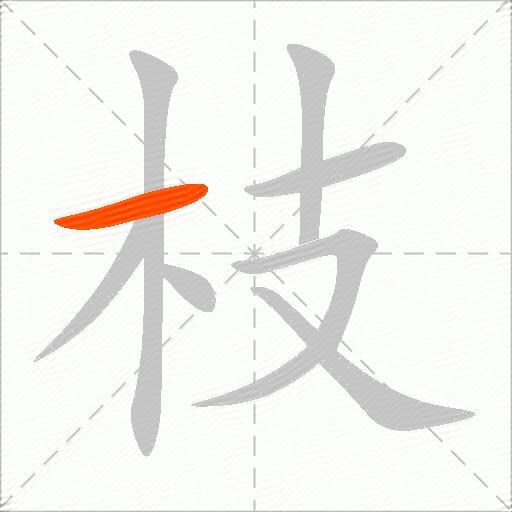 枝