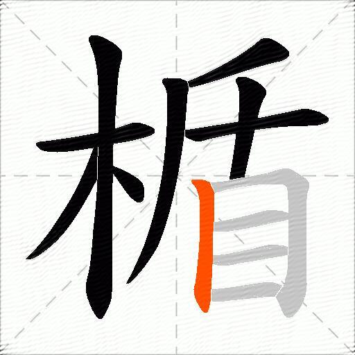 楯