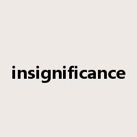 insignificance是什么意思