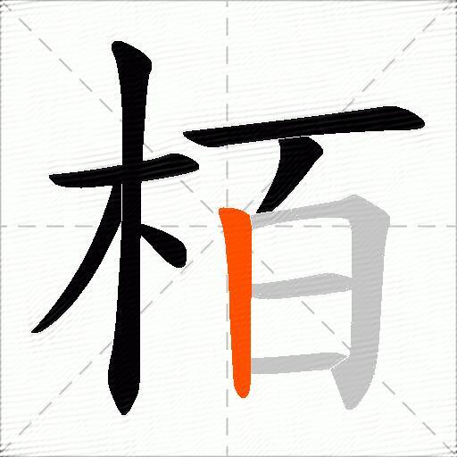 栢