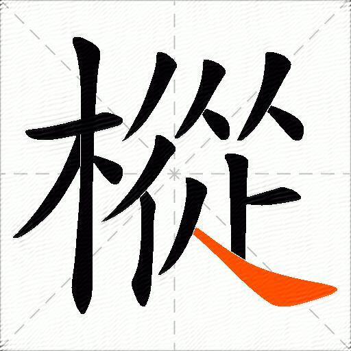樅