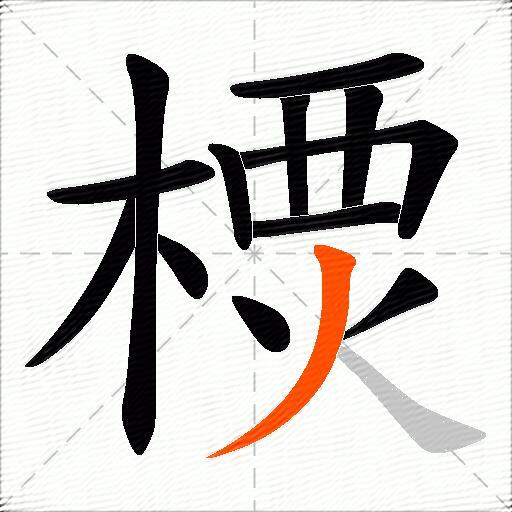 樮