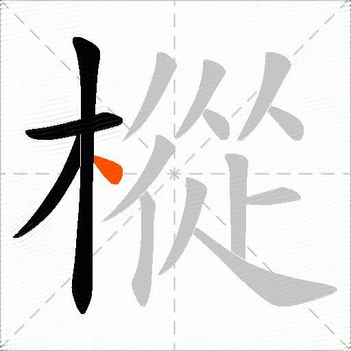 樅