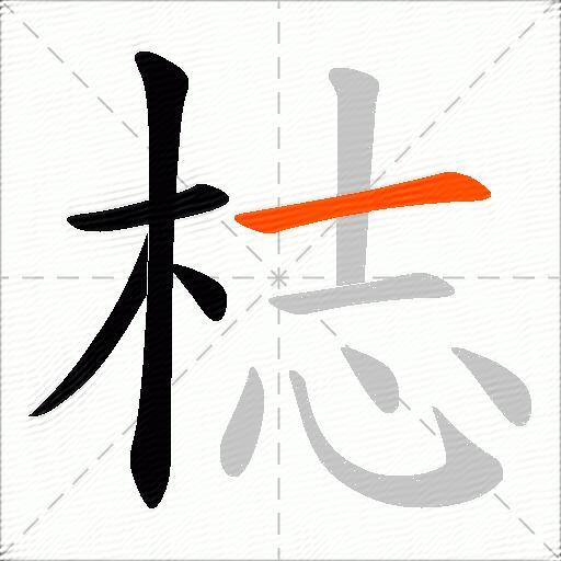 梽