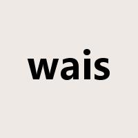 wais是什么意思