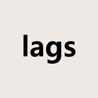 lags是什么意思