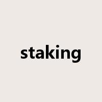staking是什么意思