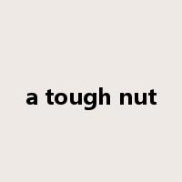 a tough nut是什么意思
