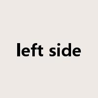 left side是什么意思