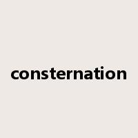 consternation是什么意思