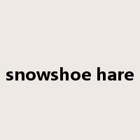 snowshoe hare是什么意思