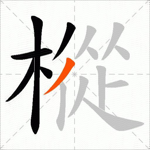樅