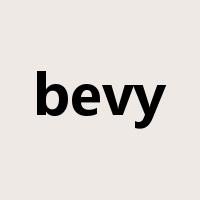 bevy是什么意思