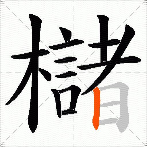 櫧