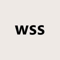 wss是什么意思