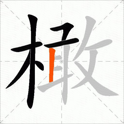 橄