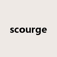 scourge是什么意思