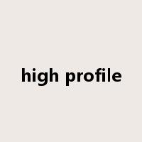 high profile是什么意思