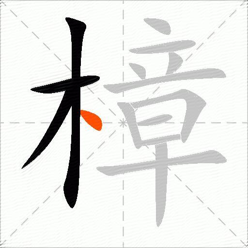樟