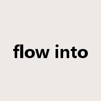flow into是什么意思