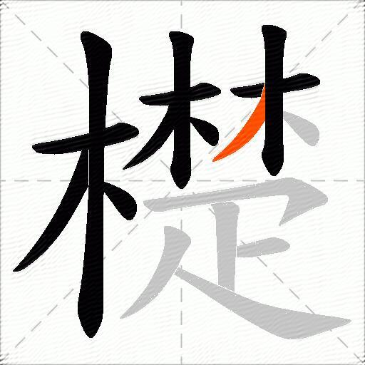 檚