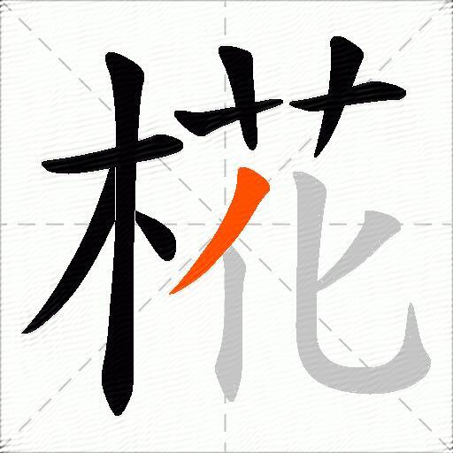 椛