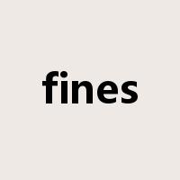 fines是什么意思