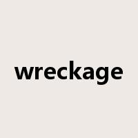 wreckage是什么意思